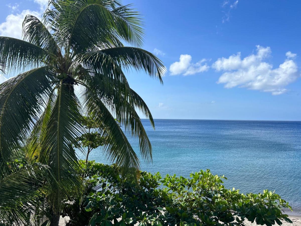 La Plage Martinique Schoelcher Ngoại thất bức ảnh